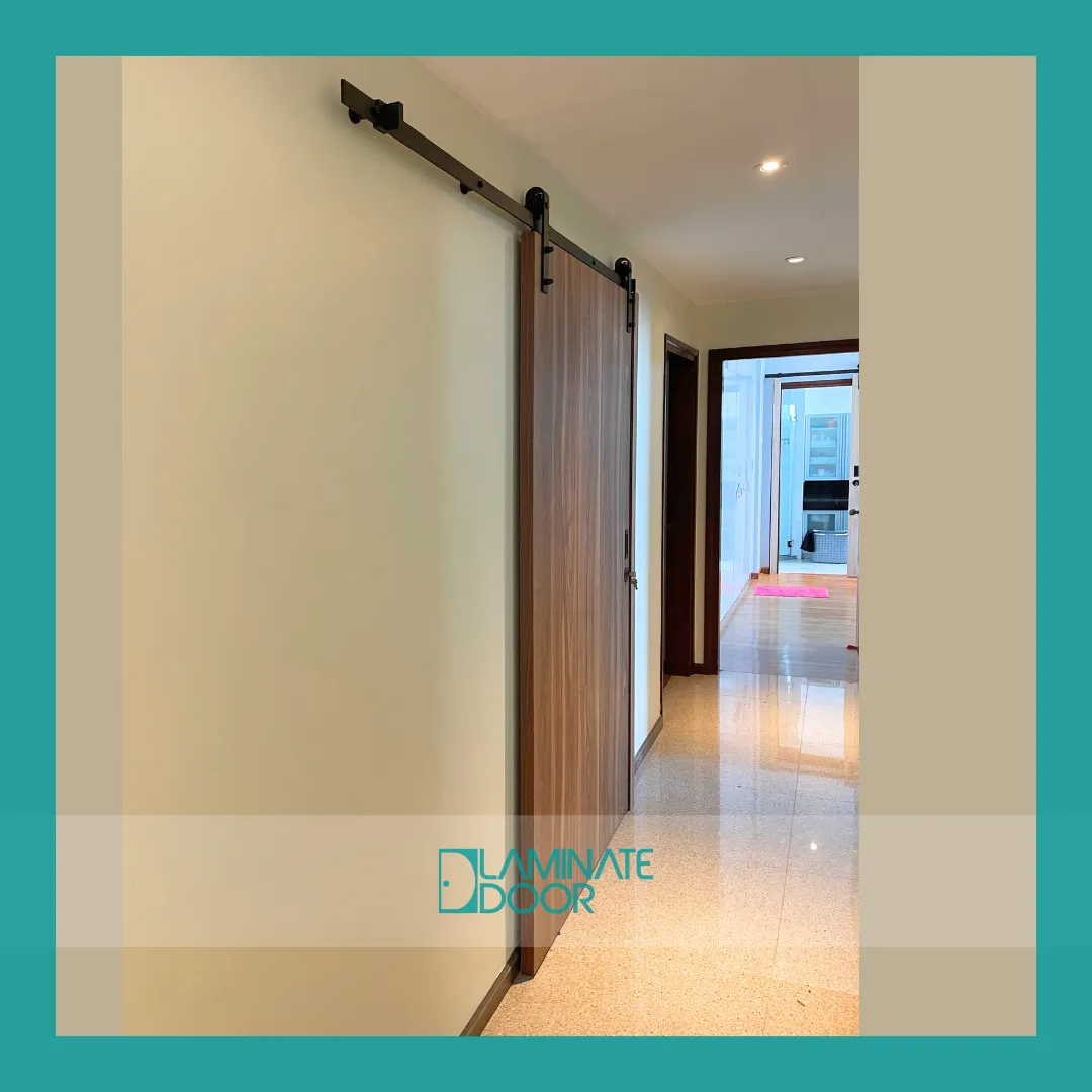 LD3R2915-FUTURE-25V65-CT-2-sliding-door-with-exposed-track sliding-door-with-exposed-track