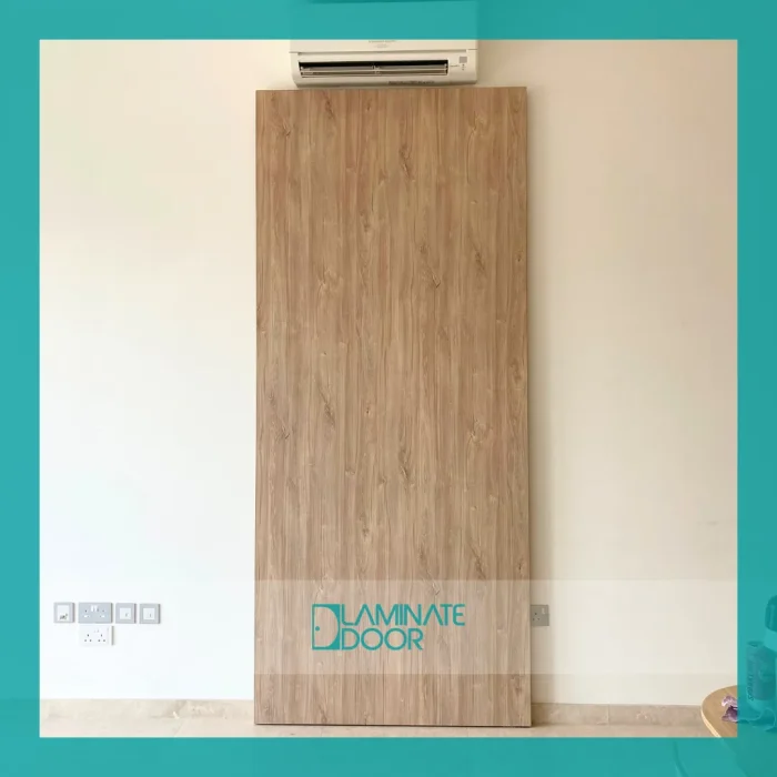 Trackless Ghost Sliding door