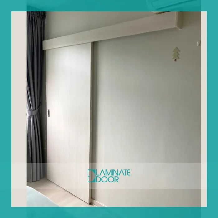 Concealed Track Sliding Door
